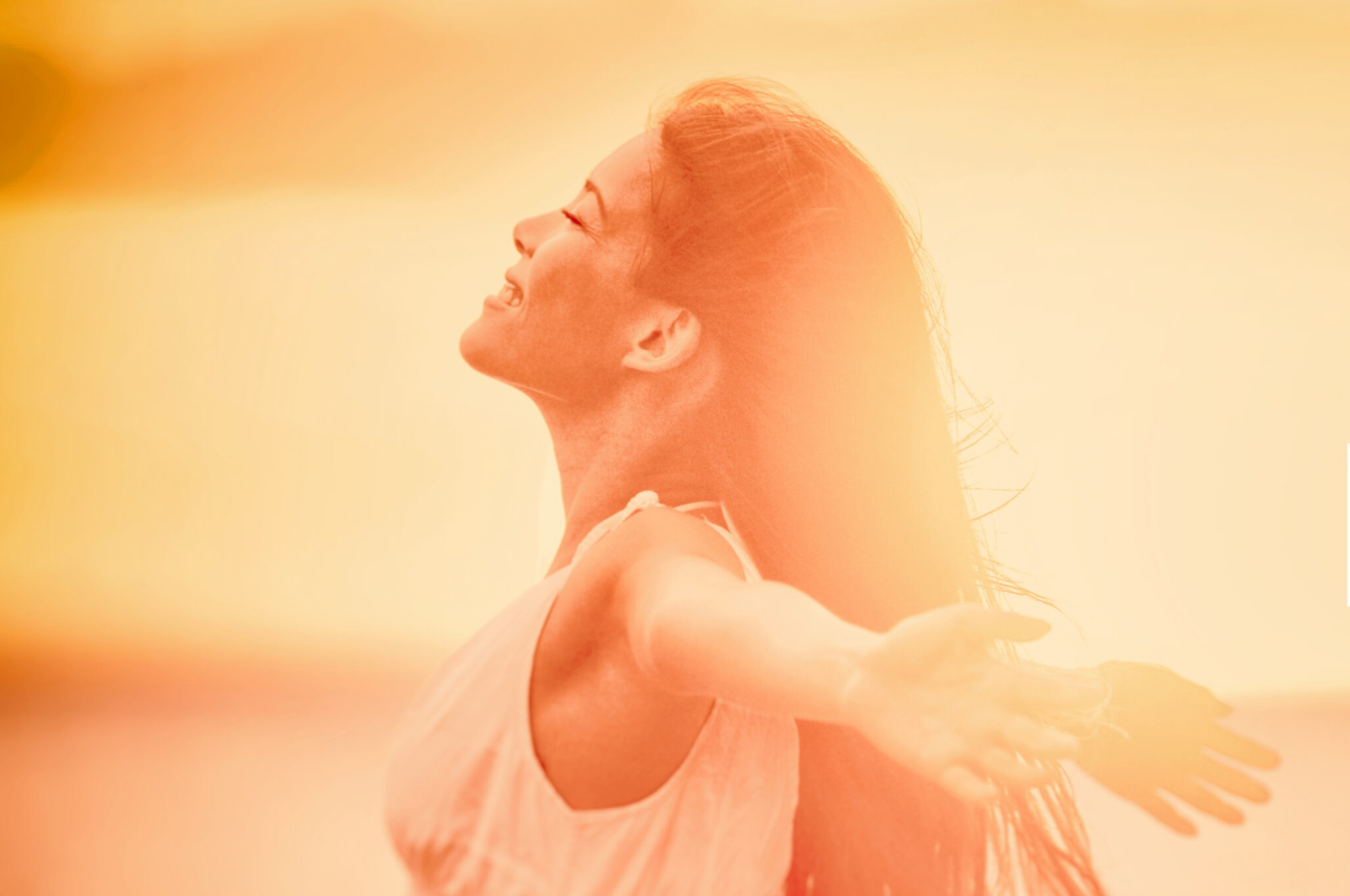 AdobeStock_204531243-scaled-1-2048×1360